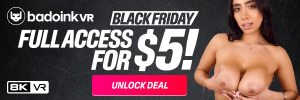 BadoinkVR