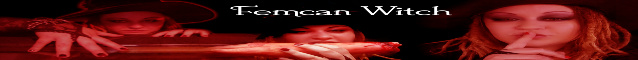 Explore being a pig its a fun fantasy