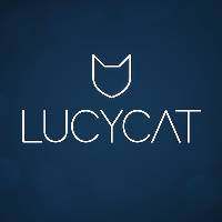 Lucy Cat Channel